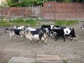 DSCN5541 (web)
